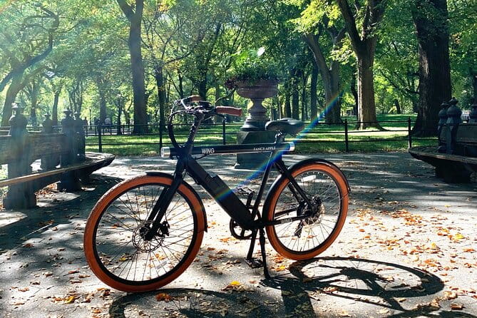 Central Park NYC Electric Bike Rental - Analyzing the Value