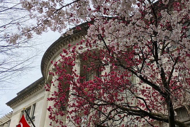 DC's Dupont Circle & Embassy Row Architecture Walking Tour - Final Thoughts: Who Should Consider This Tour?