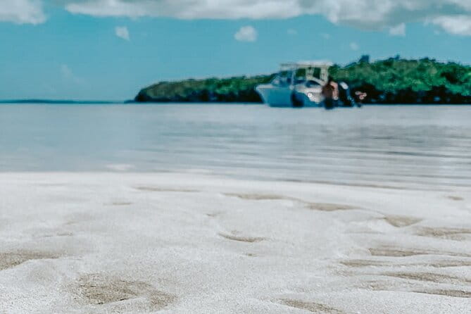 Dolphin & Snorkel - Who Should Consider This Tour?