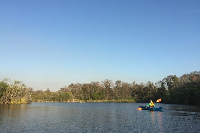 Everglades Kayak Safari Adventure Through Mangrove Tunnels - Who Will Love This Tour?