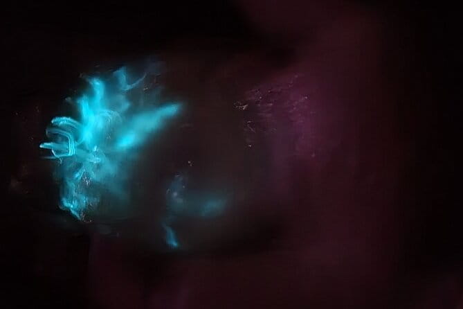 Florida Bioluminescence Kayaking Tour (Titusville) - Practical Tips for Participants