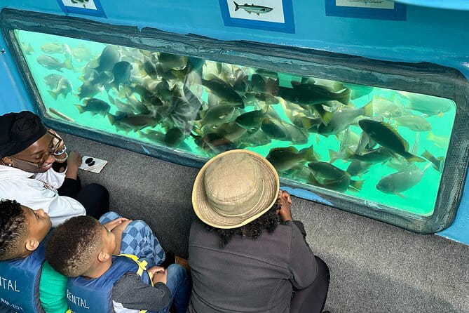 Glass Bottom Boat Ride in Redondo Beach - In The Sum Up