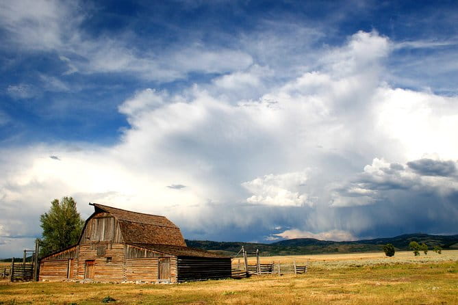 Grand Teton Wildlife Safari Tour - FAQ
