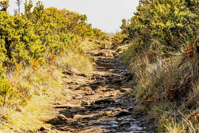 Haleakala Crater Hiking Experience - Who Is This Tour Best For?