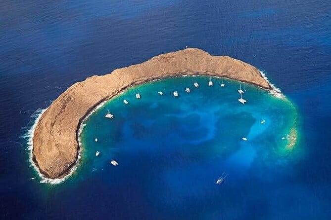 Half-Day Deluxe Molokini Snorkel Excursion in Maui - Authentic Traveler Feedback