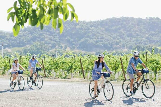 Half-Day Napa Valley E-Bike Tour - Who Will Enjoy This Tour?