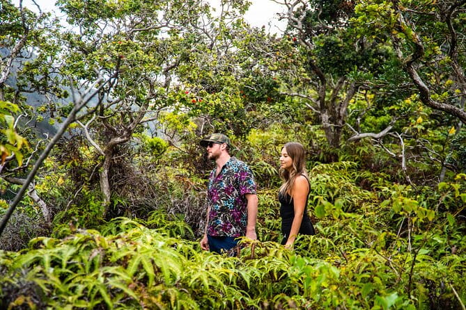 Half Day Private VIP Road to Hana Tour - Pricing & Value Analysis