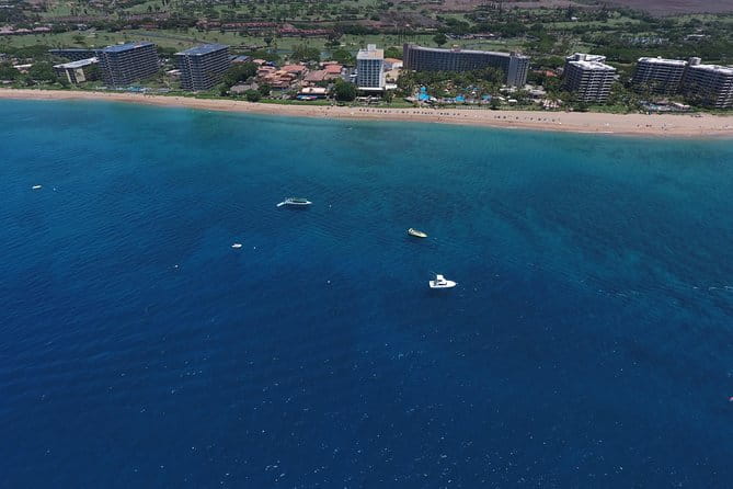 Half Day Snorkel to Lanai from Kaanapali Beach + Dolphin Search - Practical Tips for Travelers