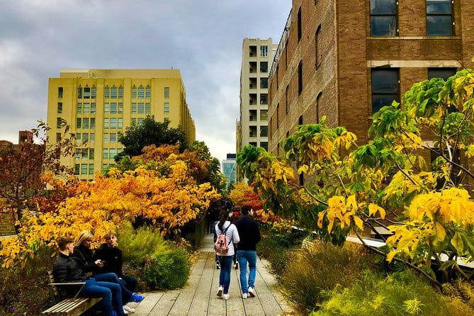 High Line, Greenwich Village Food, and Historical Downtown Tour - Practical Details