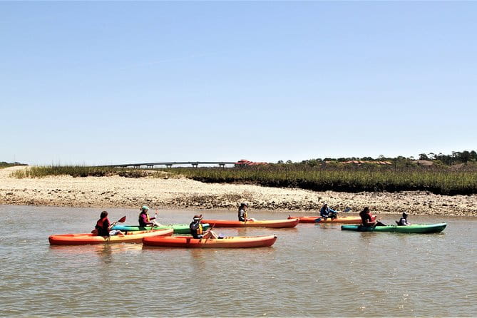 Hilton Head Guided Kayak Eco Tour - The Sum Up: Who Will Love This Tour?