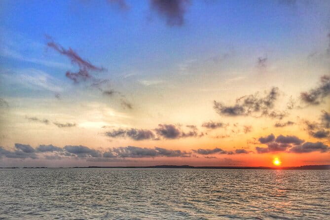 Hilton Head Island Sunset Dolphin Tour - Wrapping It Up: Who’s This Tour For?