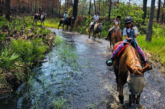 Horseback Ride on Scenic Lake Louisa Trails - Practical Tips for Travelers