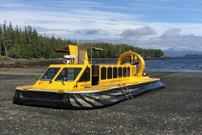 Hovercraft Eco Adventure and Wildlife Viewing - Practical Considerations