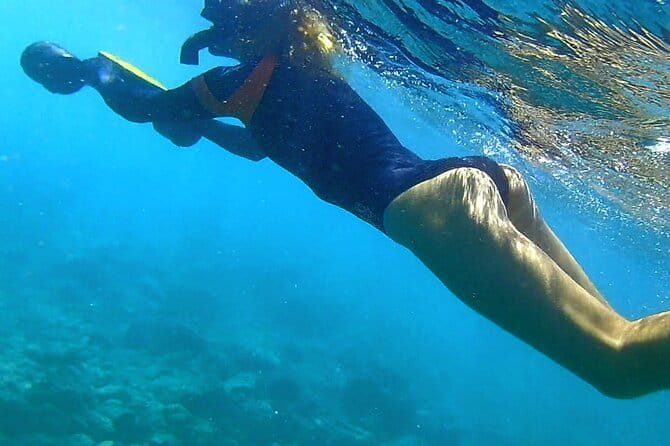 Kauai Snorkeling Adventure - Value for Money: Is It Worth It?