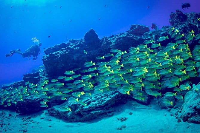 Kauai's Ultimate Boat 2 Tank Adventure Dive Certified Divers Only - Who Should Consider This Tour?