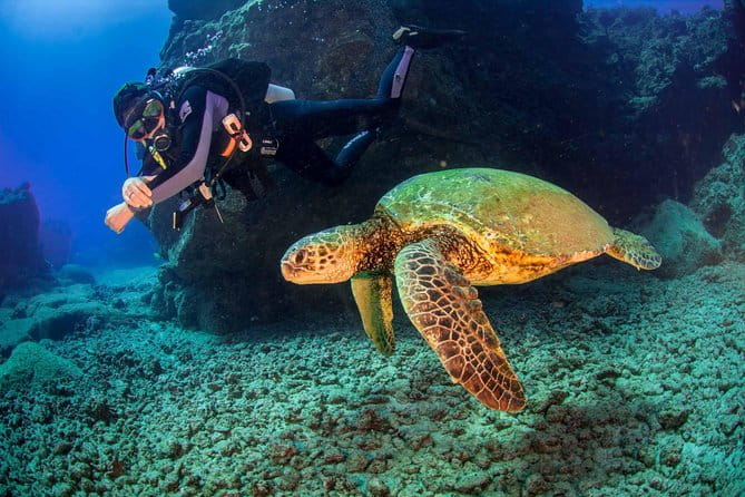 Kauai's Ultimate South Shore 2 Tank Dive (Certified Divers Only) - Who Will Love This Tour?