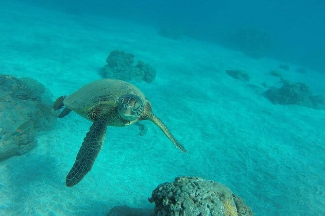 Kayak and Snorkel: Maui West Shore - Who Should Consider This Tour?