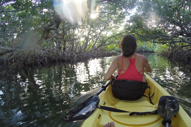 Kayak + Guided Snorkel & Morning Sail hosted by Honest Eco - FAQ