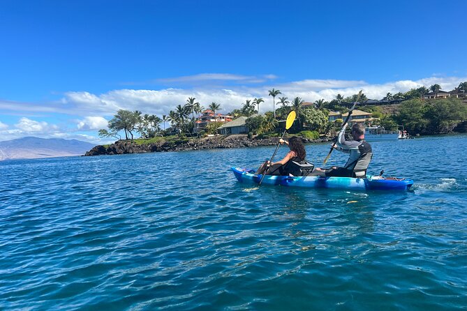 Kayak, Whale Watch, and Snorkel With Optional Photo and Video - FAQ - Your Practical Questions Answered