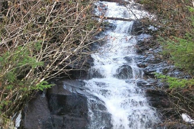 Ketchikan All In One - Flexibility and Weather Considerations