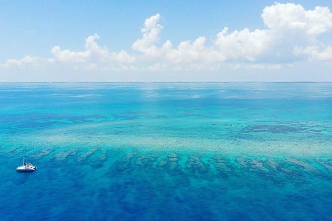 Key West Sunset Snorkel with Unlimited Draft Beer & Wine - FAQ