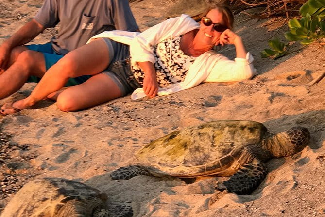Kona Shore Excursion: Sea Turtles, Historic Kona & Coffee - FAQs