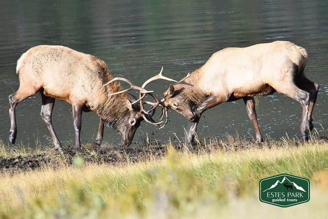 Lower Valley Tour RMNP - FAQs