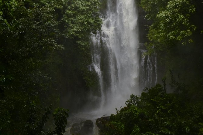 Maui Shore Excursion : Road to Hana Day Trip P/up Ka'anapali - FAQs