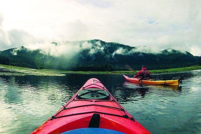 Mendenhall Glacier View Sea Kayaking - The Practicalities: Who Should Consider This Tour?