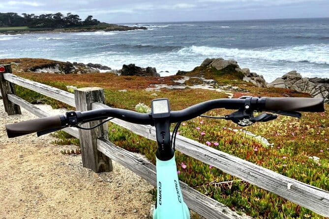 Monterey 17-Mile Drive Electric Bike Guided Tour - Who Will Appreciate This Tour Most?