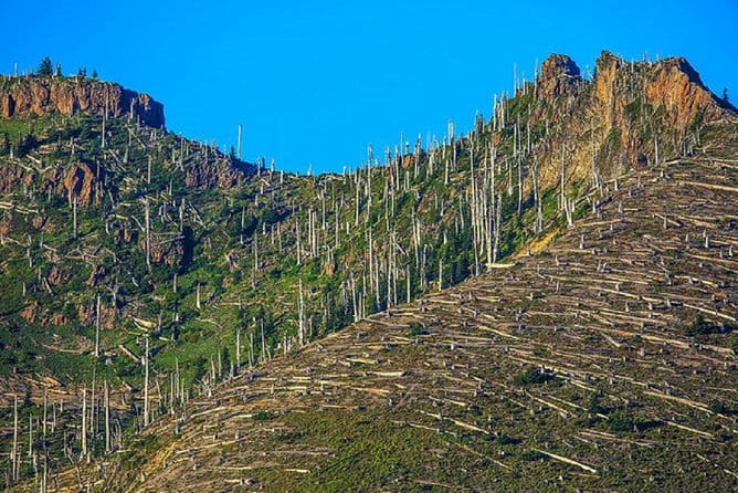 Mt. St. Helens National Monument from Seattle: All-Inclusive Small-Group Tour - FAQ