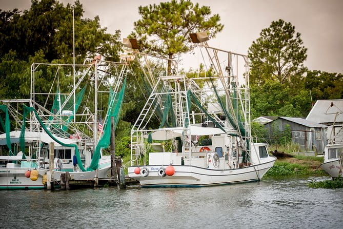 New Orleans Swamp and Bayou Sightseeing Tour with Transportation - The Sum Up: Is It Worth It?