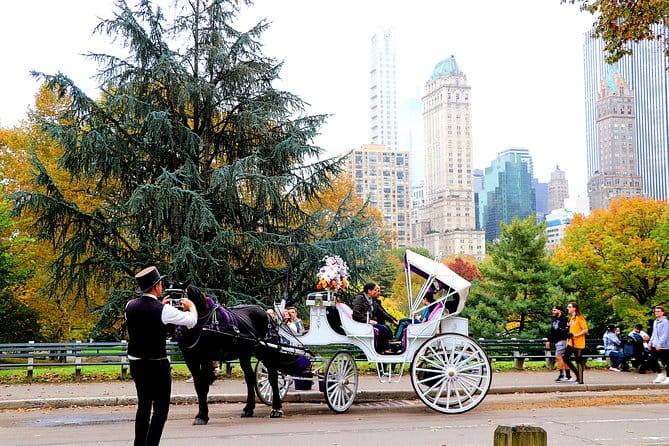 NYC Horse Carriage Ride in Central Park (50 Min. Up to 4 Adults) - Practical Details to Keep in Mind