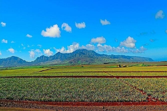 Oahu Grand Circle Island Experience Departing from Kauai - Final Thoughts: Who Will Love This Tour?