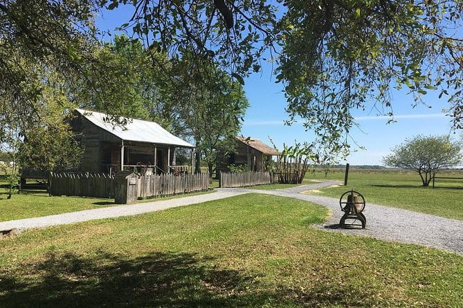 Oak Alley or Laura Plantation Tour from New Orleans - Who Should Consider This Tour?