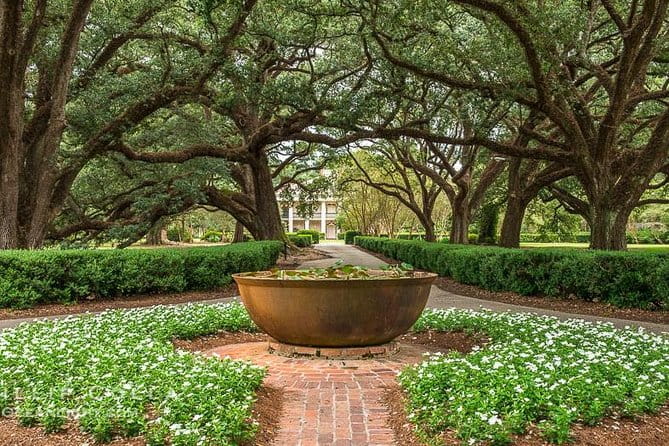 Oak Alley Plantation Half-Day Tour from New Orleans - The Sum Up