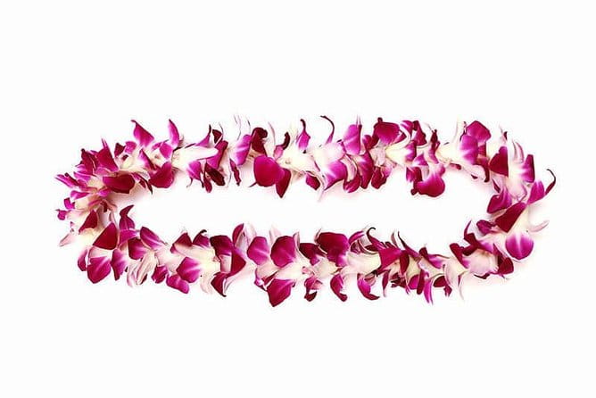 Orchid Airport Lei Greeting (Maui, Kahului Airport, OGG) - Practical Tips for Booking