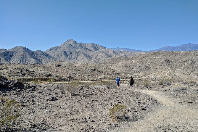 Palm Springs Hike to an Oasis and Amazing Desert Views - Who Is This Tour Best For?