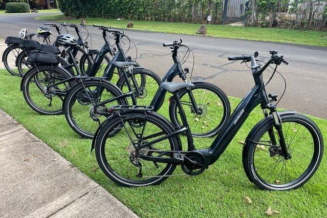 Poipu and Koloa E-Bike Scenic Tour - The Cost and Value