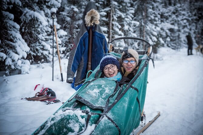 Private Guided Dog Sledding on the Historic Yukon Quest Trail - Who Will Love This Tour?