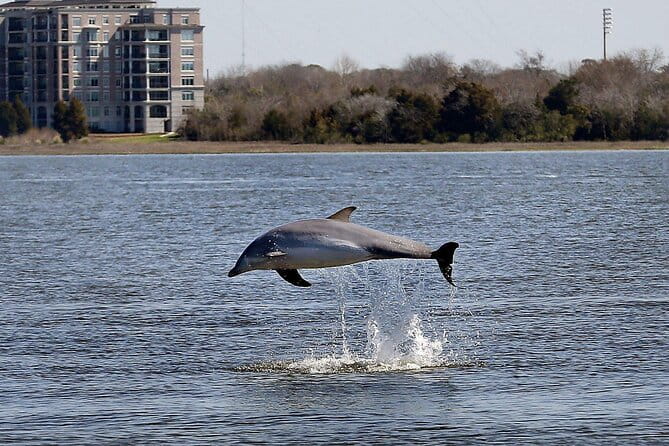 Private Morning Sailing/Dolphin & History Tours on 43ft Mystique - FAQ