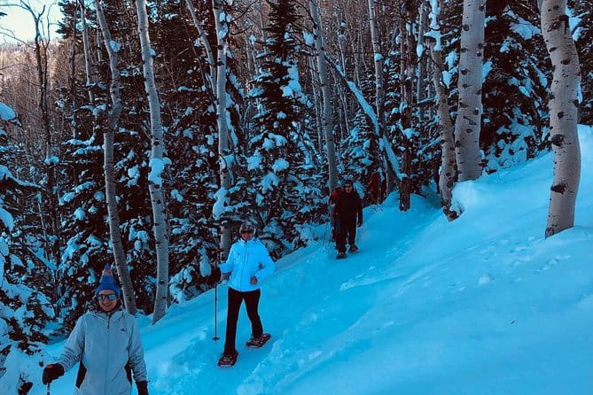 Private Park City Snowshoe Excursions (9:30am/12:30pm start time) - The Sum Up
