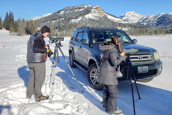 PRIVATE Wolf & Wildlife Watching in Yellowstone's Lamar Valley - Final Thoughts: Is This Tour Worth It?