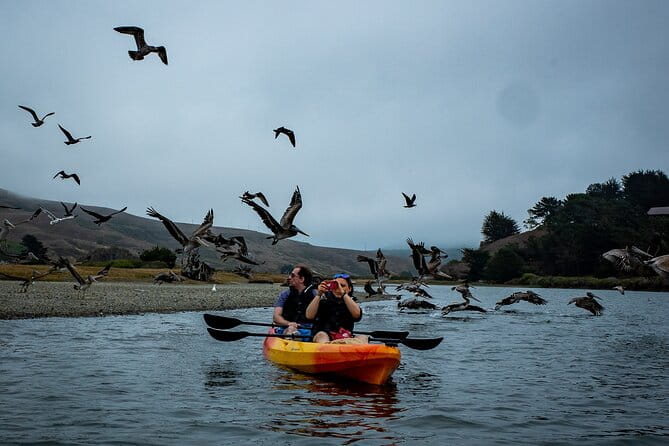 Russian River Kayak Tour at the Beautiful Sonoma Coast - Why This Tour Stands Out