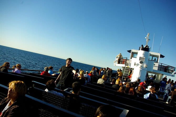San Diego Whale Watching Cruise - Pricing and Value