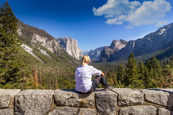 San Francisco: Yosemite National Park and Giant Sequoia Day Tour - Final Thoughts