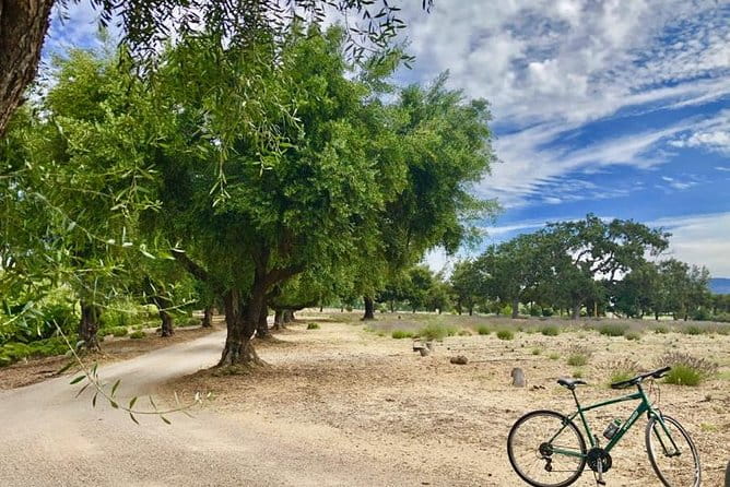 Santa Ynez Valley Biking and Wine Tasting Tour - FAQ