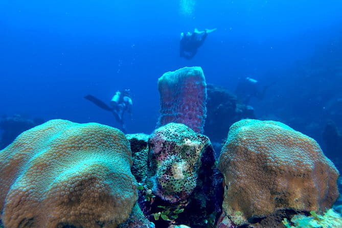 Scuba Certification - Group Size and Booking