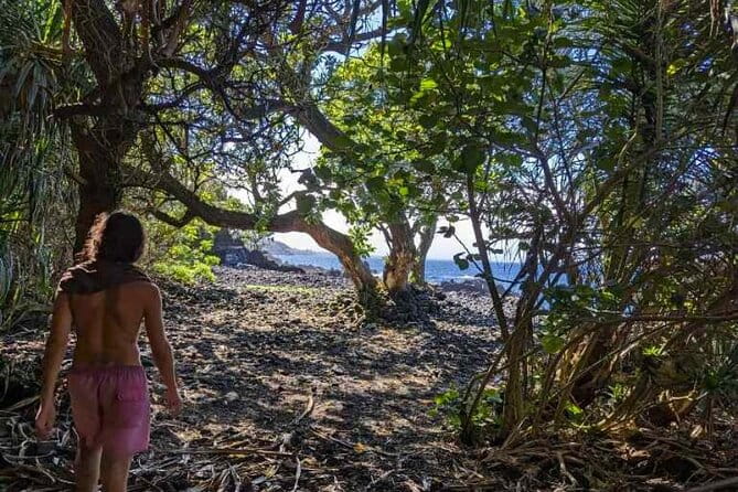 Secret Tide Pool Hike - Jungle & Coast - Private - The Challenges to Consider