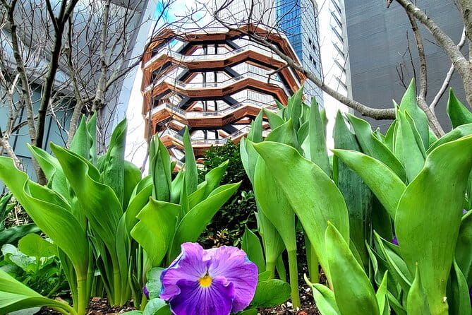 Secrets of the High Line - The Art, Plants, and Architecture